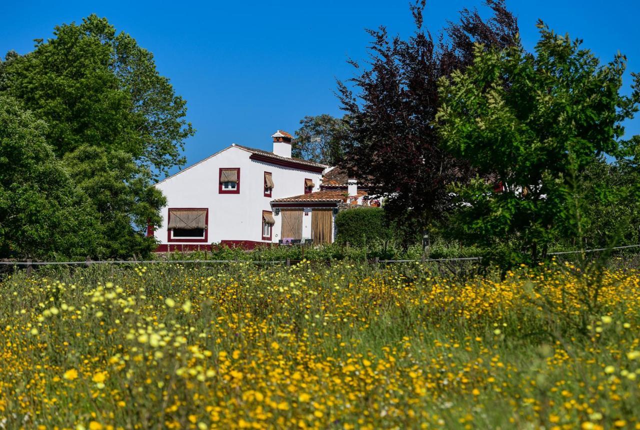 Quinta Da Dourada Hotell Portalegre Eksteriør bilde